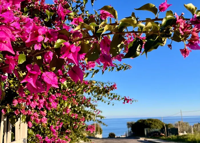 Boho Justyna 度假居 *