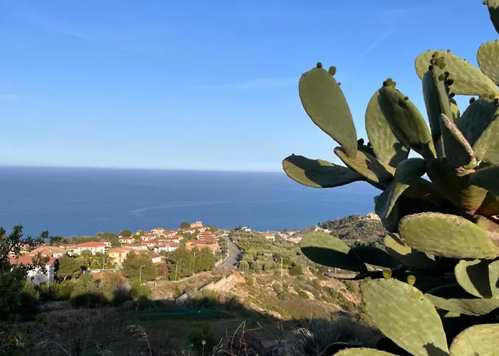 度假居 Boho Justyna *